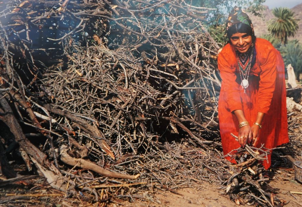Collecting firewood for cooking